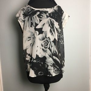 Vision of Roses with Sheer Back Blouse